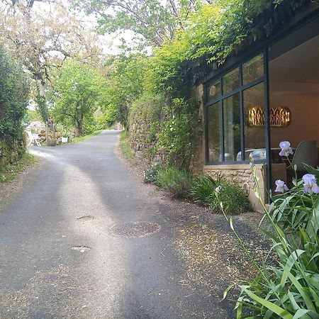 Chambre Du Sabotier - Studio Troglodytique - A 100 M Baignade En Riviere - Location De Canoe - Circuits Cyclo - Aire De Pique-Nique - 3 Restaurants Castelnaud-la-Chapelle Eksteriør bilde